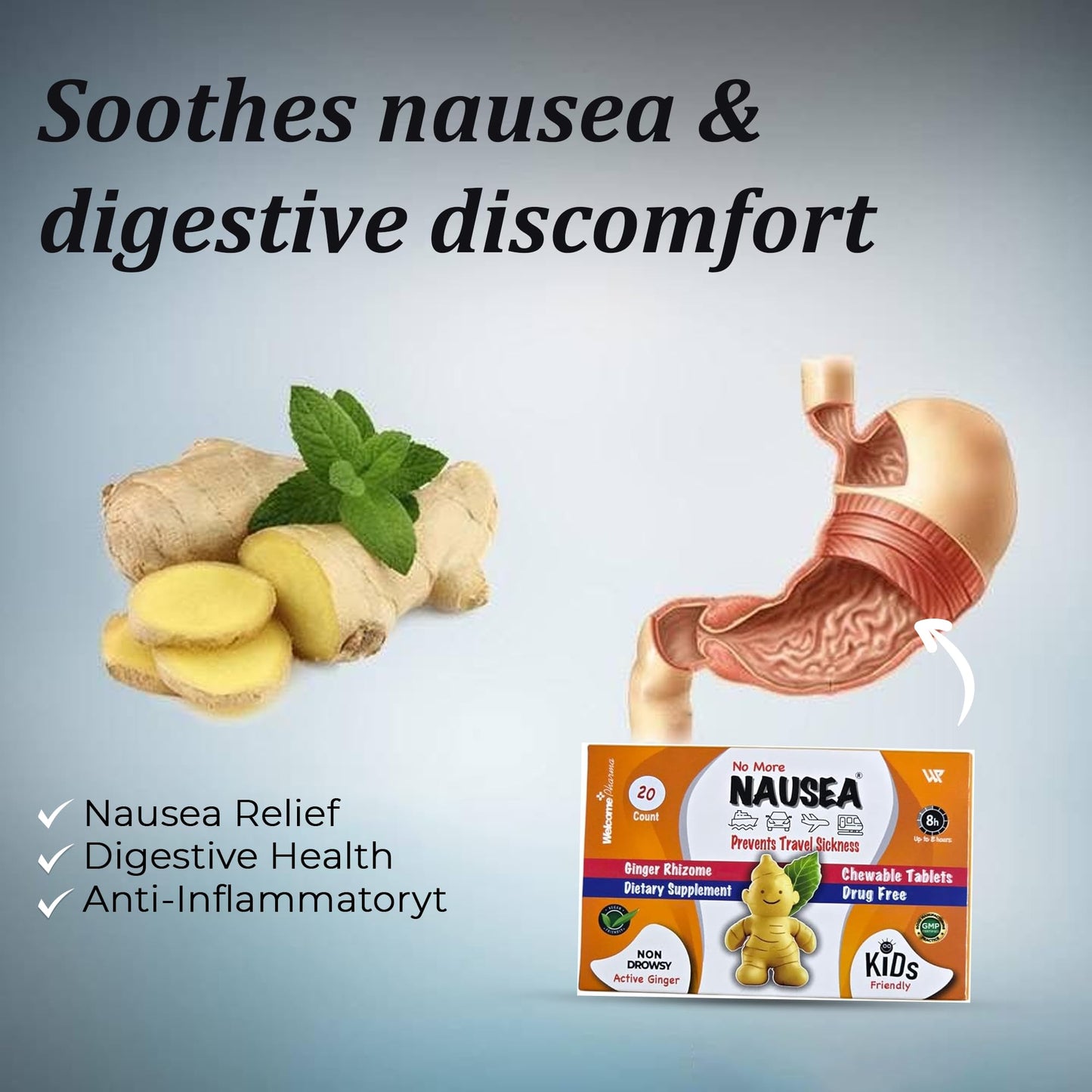 Travel Sickness Tablets β Ginger Tablets for Nausea Relief, Morning Sickness & More β Chewable Motion Sickness Tablet for Kids and Adults (20PCS)