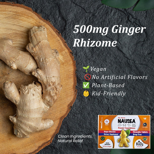 Travel Sickness Tablets — Ginger Tablets for Nausea Relief, Morning Sickness & More — Chewable Motion Sickness Tablet for Kids and Adults (20PCS)