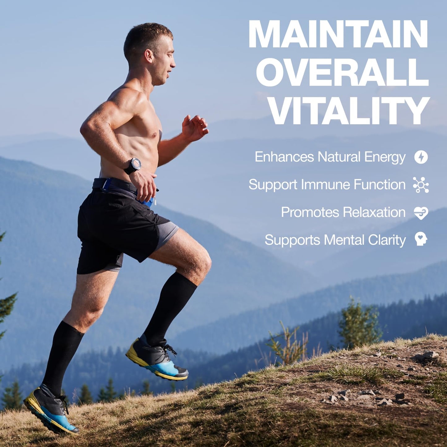 Welcome Pharma Pure Shilajit 60 Gummies — 1000mg